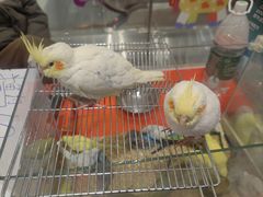 -丽达购物中心(崂山店)