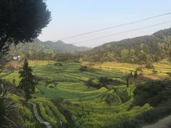 -灵山景区梯田