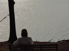 -漕湖湿地公园