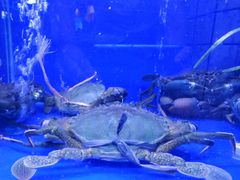 -港迹·鲜围煮海鲜火锅(湖州时代广场店)