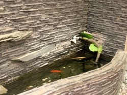 -功夫肩颈泰曼时光美容