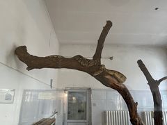 -保定市动物园