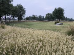 -汉长安城未央宫国家考古遗址公园