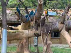 -石家庄市动物园