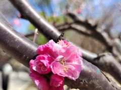 -朝阳公园