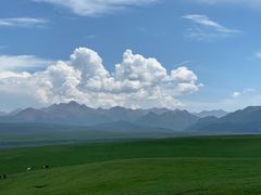 -山丹皇家马场