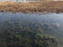 -太湖湖滨国家湿地公园-停车场
