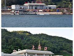 -河口景区