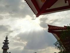 -三水森林公园