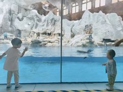 -帝企鹅自助餐厅•儿童岛•真企鹅(长隆企鹅酒店)