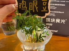 -饵块食光·云南有机手作饵块