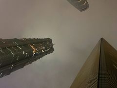 -上海柏悦酒店