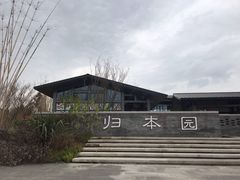 -白鹭湾湿地公园