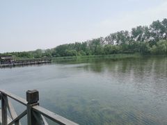 -溱湖国家湿地公园