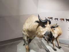 -长江文明馆
