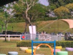 -爪吧宠物乐园 (温榆河示范区店)