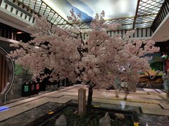 -添赐温泉馆(上南路店)