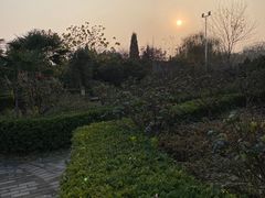 -蓝波湾温泉水世界