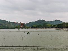 -顺峰山公园