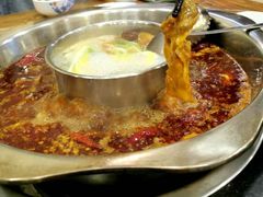 -金鼎雪山牦牛杂火锅(理县总店)