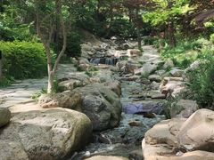 -大连植物园