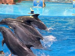 -多彩贵州城极地海洋世界