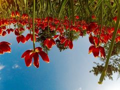 -长春公园(普阳街道)