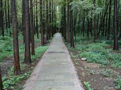 -同里国家湿地公园