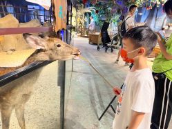 -酷嗒动物文化乐园(cutezoo西溪乐天城店)