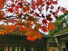 -惠山古镇·寄畅园