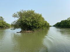 -大湾区中央湿地公园