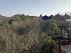 -南京市无想山景区