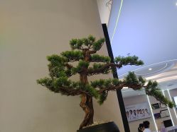 -壹加壹医疗美容·轻医美·美容外科