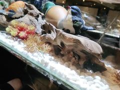 -红辣椒·川菜·火锅(张杨路店)