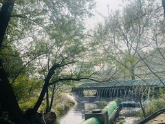 -望湖公园