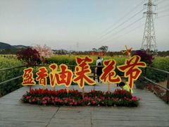 -盈香心动乐园