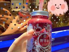 -野萃山·潮汕厚果汁(十亩地店)