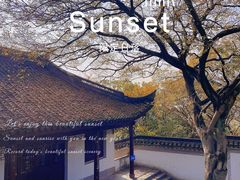 -上海佘山国家森林公园天马山园