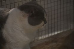 -酷嗒动物文化乐园(cutezoo西溪乐天城店)