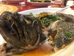 -金鮀岛潮州酒家