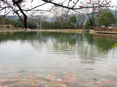 -杭州六谷生态休闲农庄有限公司