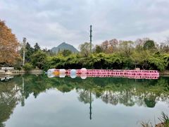 -花溪公园