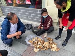 -南渝食府.石锅鸡(尚城花园店)