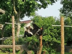 -上海野生动物园