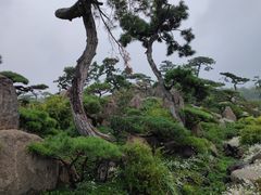 -罗红摄影艺术馆