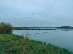 -渤公岛生态公园