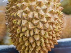 -开皇马来西亚榴莲美食店(华强北店)