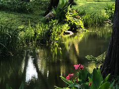 -人民公园(罗湖区)