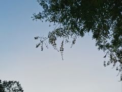 -石溪公园