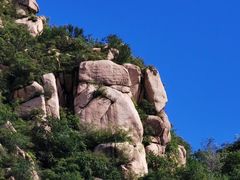 -大岭沟猕猴桃谷风景区